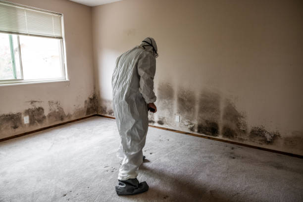 Footville, WI Mold Remediation Company